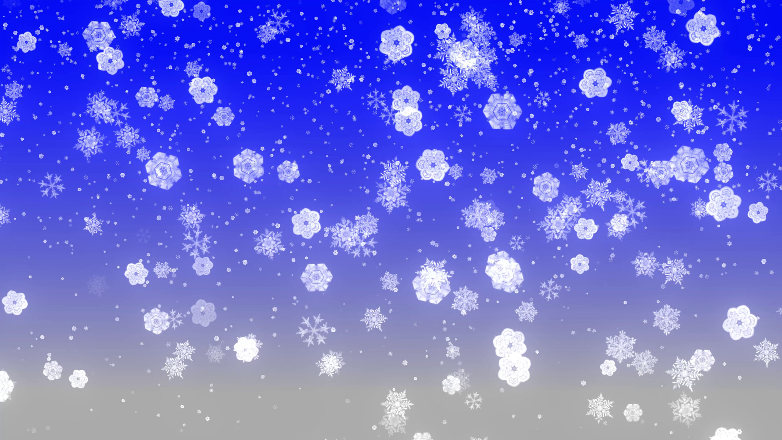 4K Snowflakes Motion Background || Free To Download Screensaver