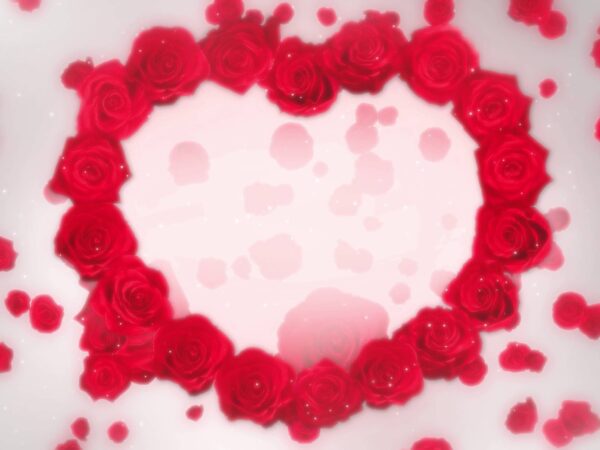 5 Free 4K Valentine’s Day Intro Templates with FREE DOWNLOAD
