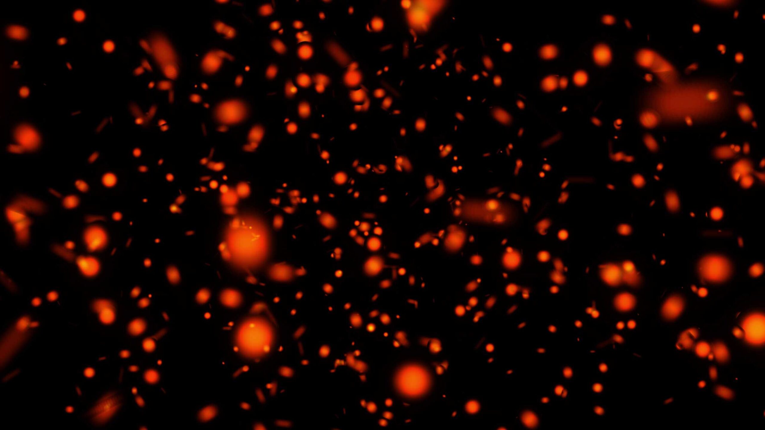 4K Embers Overlay Effect || Overlay Effect For Editing Free Download