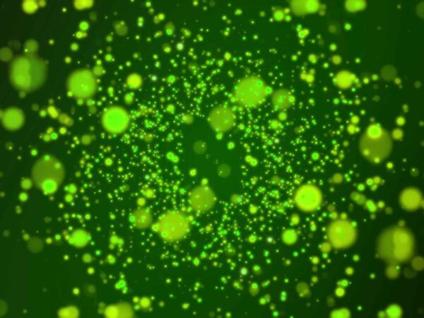 4K Glowing Green Particles Motion Background || Free To Use Screensaver