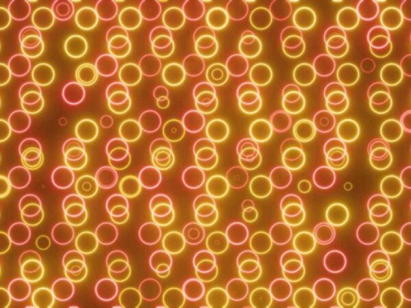 4K Glowing Yellow & Red Neon Circles Screensaver || Free UHD Motion Background || Free Download